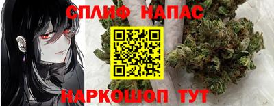 гидропоника Сланцы