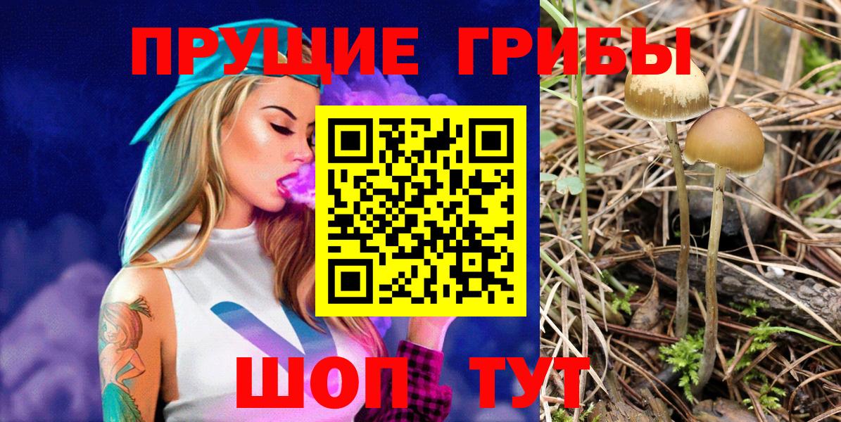 Галлюциногенные грибы GOLDEN TEACHER Нижнеудинск